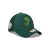 Gorras New Era | Pericos De Puebla Lmb Spring Training 2023 39Thirty Elastica