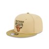 Gorras New Era | Chicago Bulls Nba The Green Collection 9Fifty Snapback