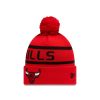 Gorras New Era | Chicago Bulls Jake Cuffknit